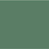 Color - 10:10 Academy Green