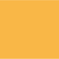 Color - CHSS Yellow