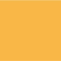 Color - Pack 703 Gold