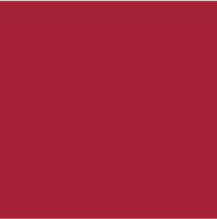 Color - Troop 703 Right Red