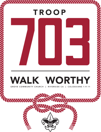 Troop 703 Primary Logo