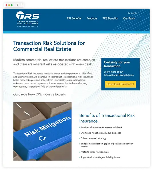 Transactional Risk Solutions